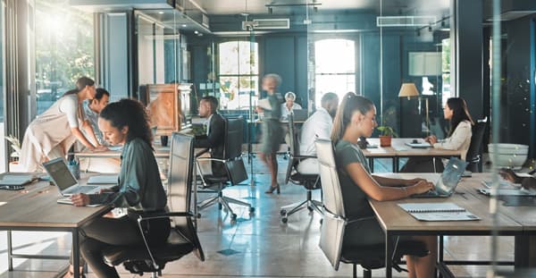 Seguros para empresas